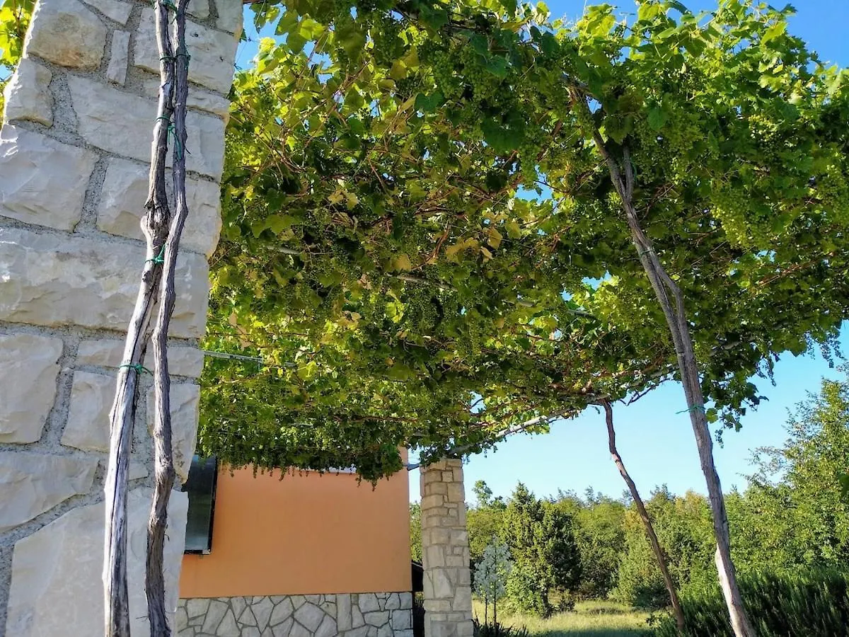 Beautiful Villa With A Dreamlike Garden And Pool 拉宾 克罗地亚
