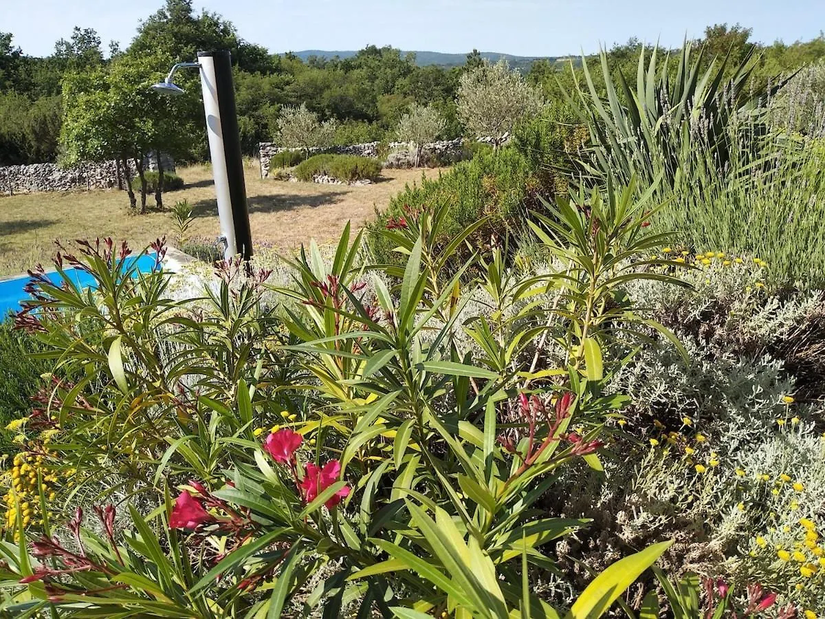 Beautiful Villa With A Dreamlike Garden And Pool Labin  Apartment Labin (Istria)