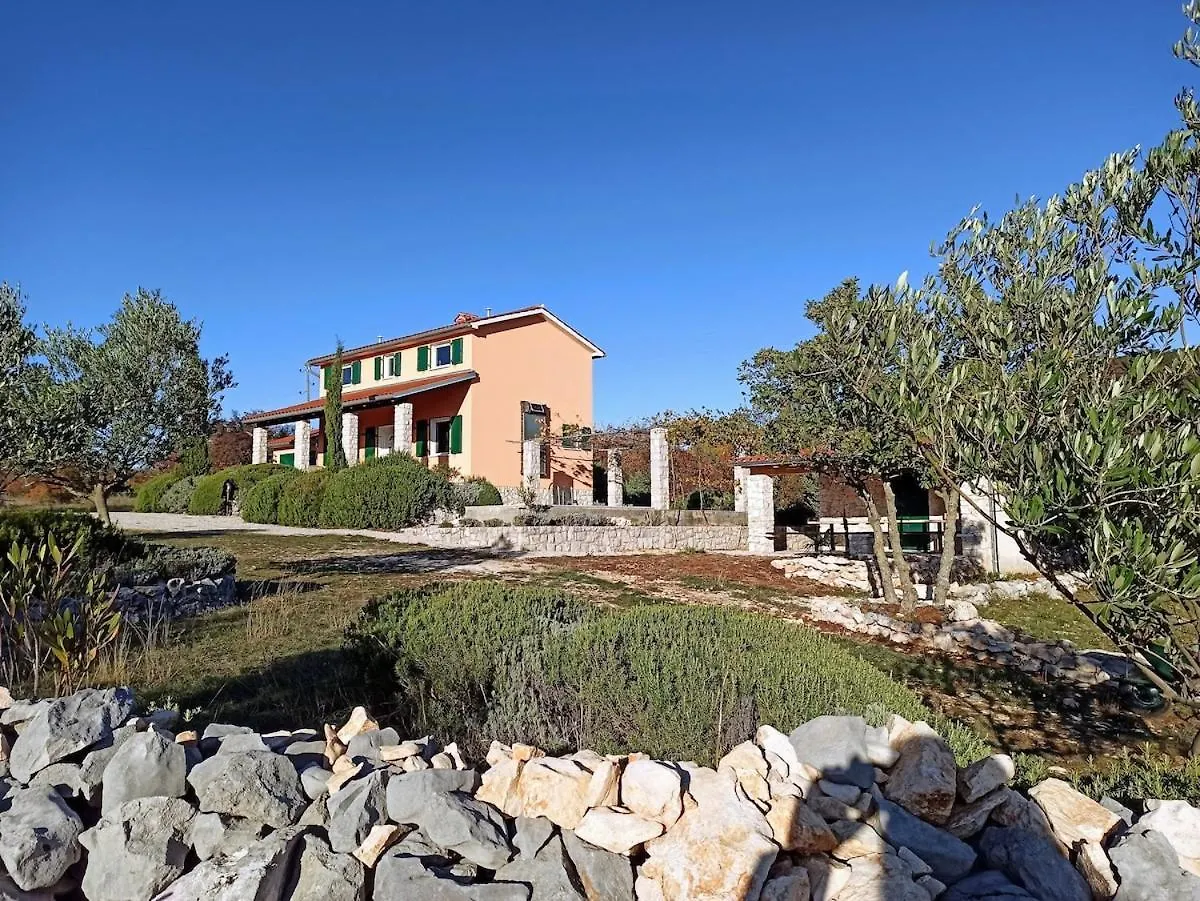 Apartment Beautiful Villa With A Dreamlike Garden And Pool Labin  Kroatien