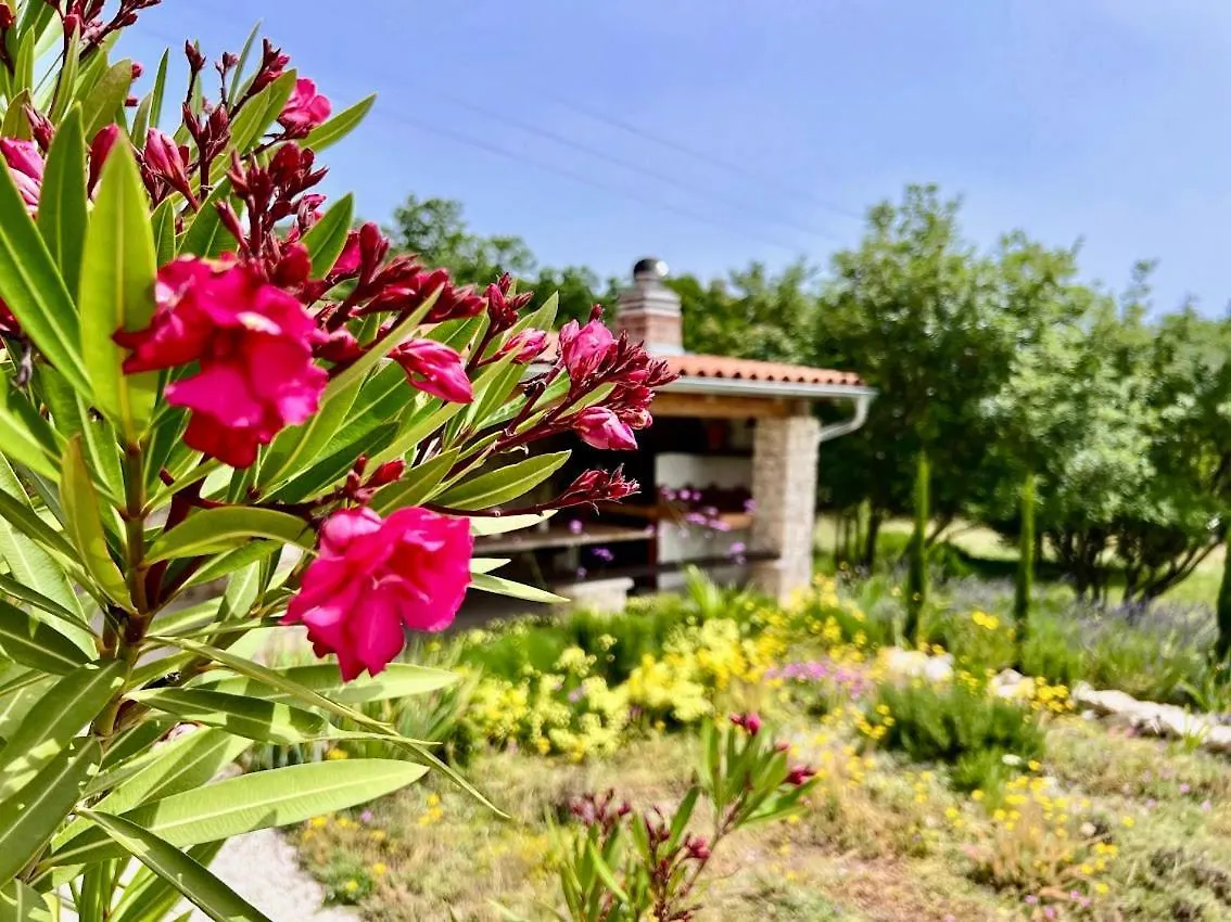 Beautiful Villa With A Dreamlike Garden And Pool 拉宾 0*,