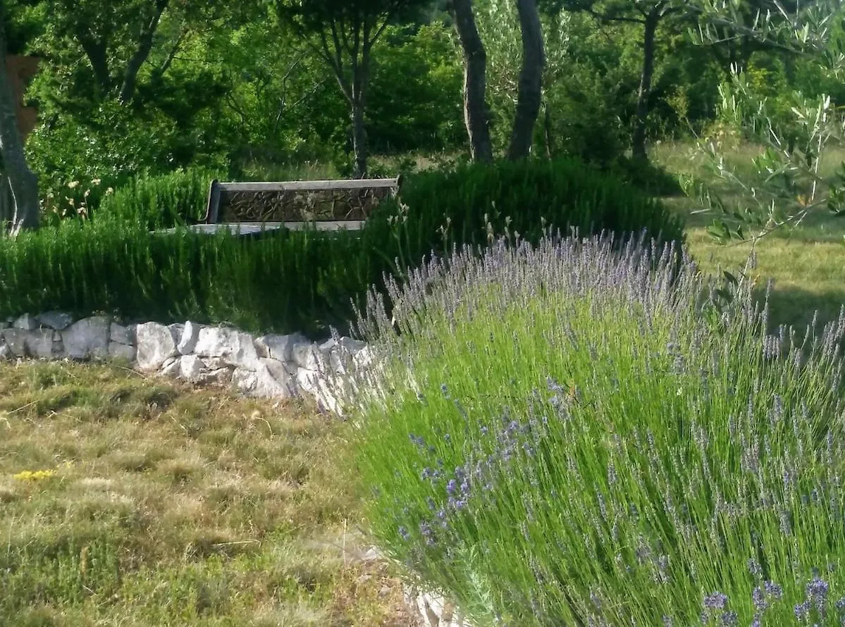 Beautiful Villa With A Dreamlike Garden And Pool Labin  Apartment