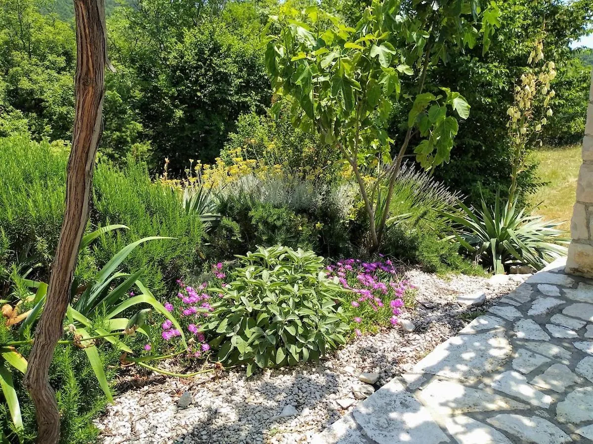 Beautiful Villa With A Dreamlike Garden And Pool Labin  Labin (Istria)